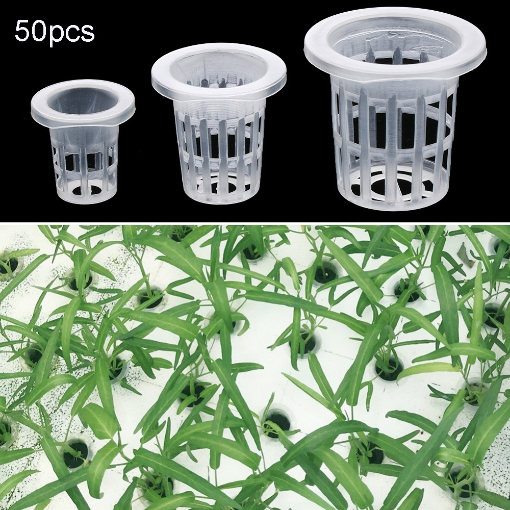 10/50 pçs suprimentos de jardi - Aquarium Planted Seeds avaliação e preço