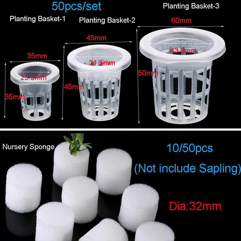 10/50 pçs suprimentos de jardi - Aquarium Planted Seeds avaliação e preço